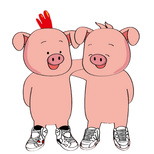 Korean BBQ Pig Company Myeongdong Hongdae Gangnam