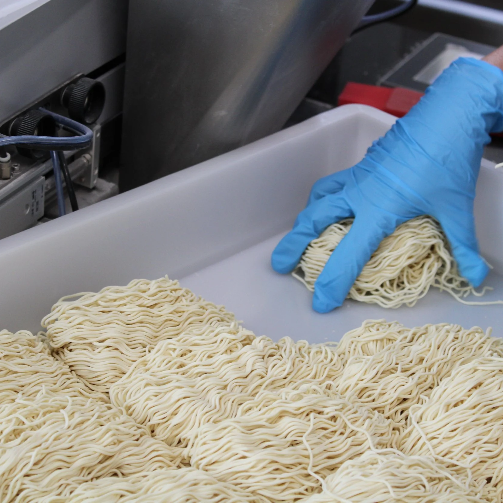 Close-up of a person wearing blue gloves using tongs to handle cooked noodles on a white tray in a commercial kitchen or food preparation setting.