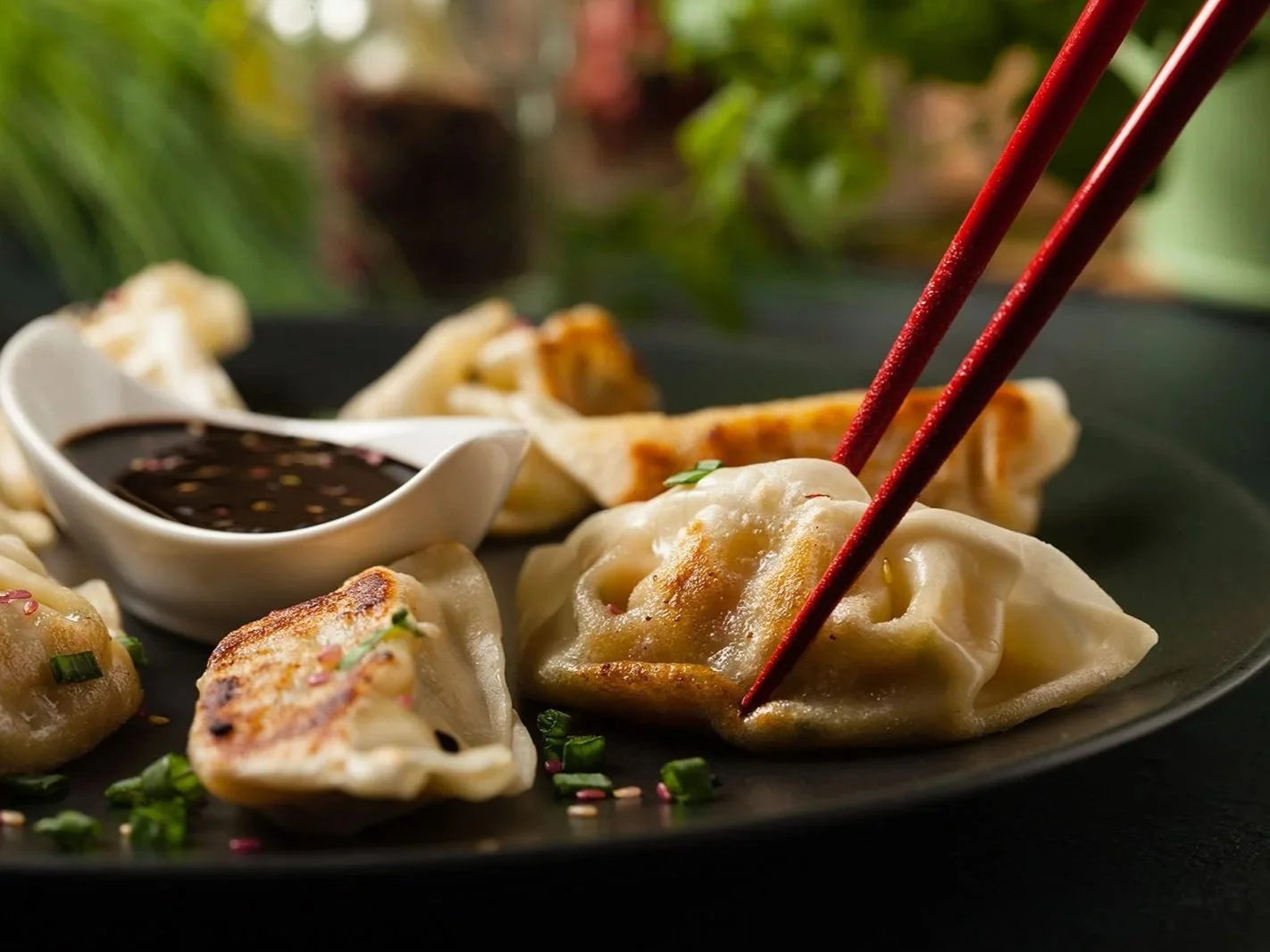 Japanese dumplings served with soy sauce and chopsticks