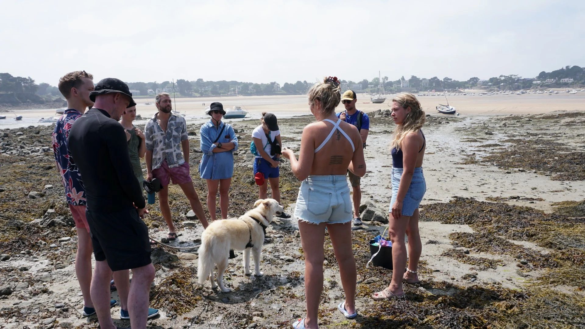Group of people gathered outdoors on a rocky beach, listening to a blonde woman with tattoos, wearing a white cross-back top and denim shorts, who appears to be speaking. Some people are holding cameras or bags, and a Labrador retriever dog stands nearby. In the background, boats are anchored near the sandy shoreline with houses and trees on a hill in the distance.