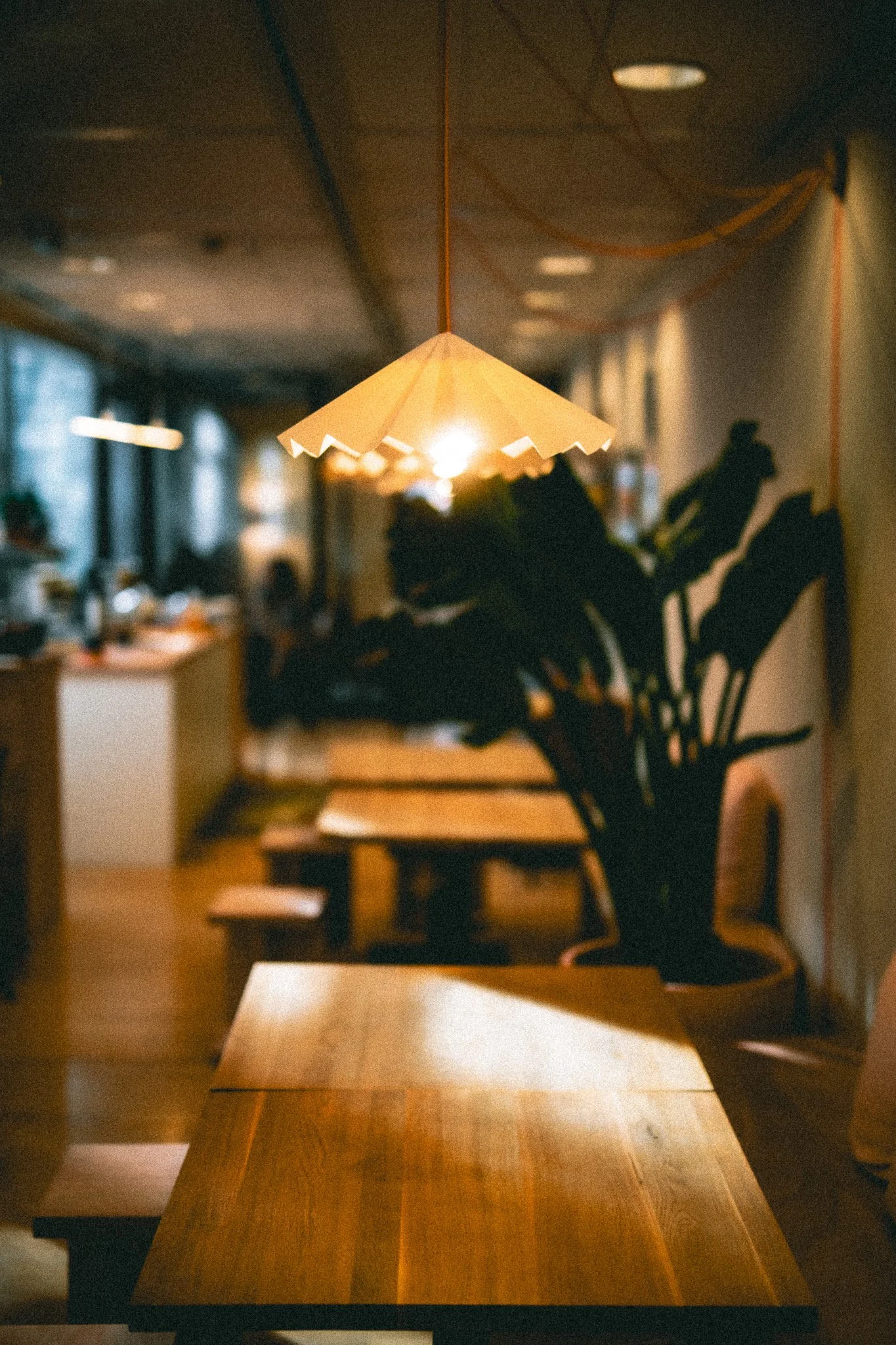 SŪN paper lamp