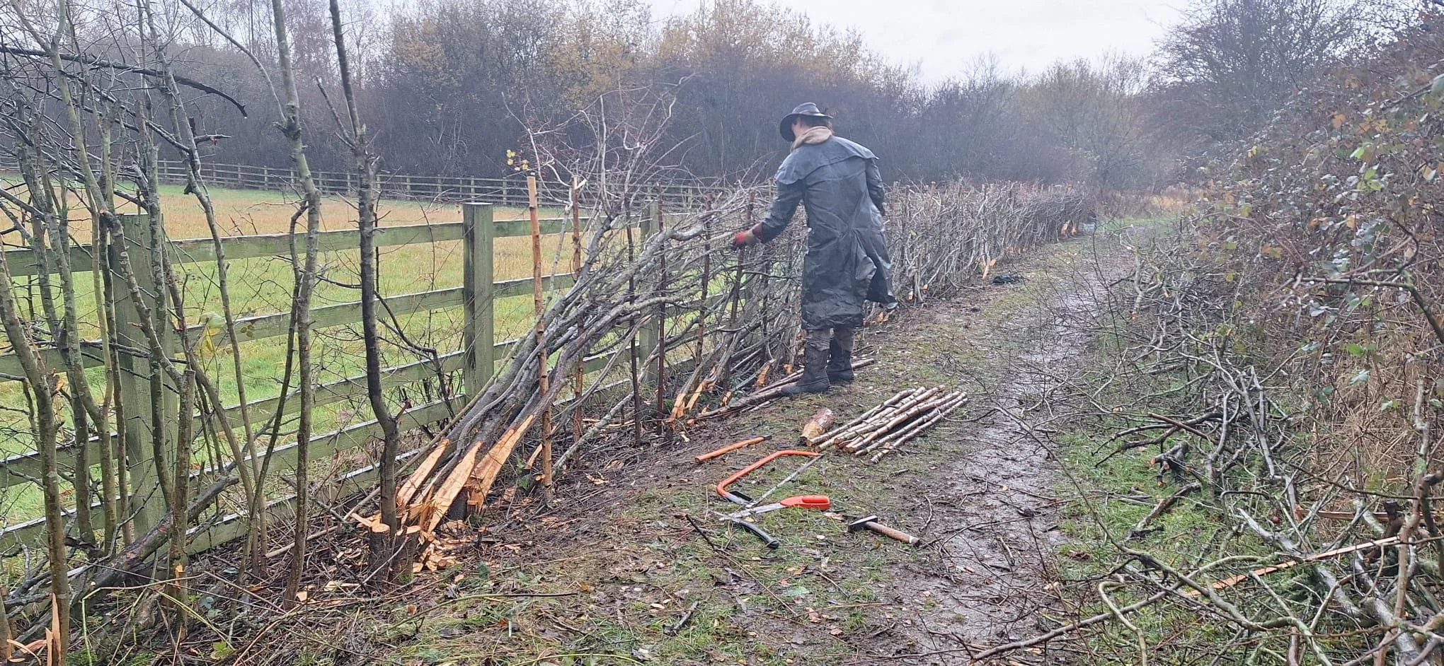 WhatsApp Image 2025-12-04 at 15.53.23 (1).jpeg