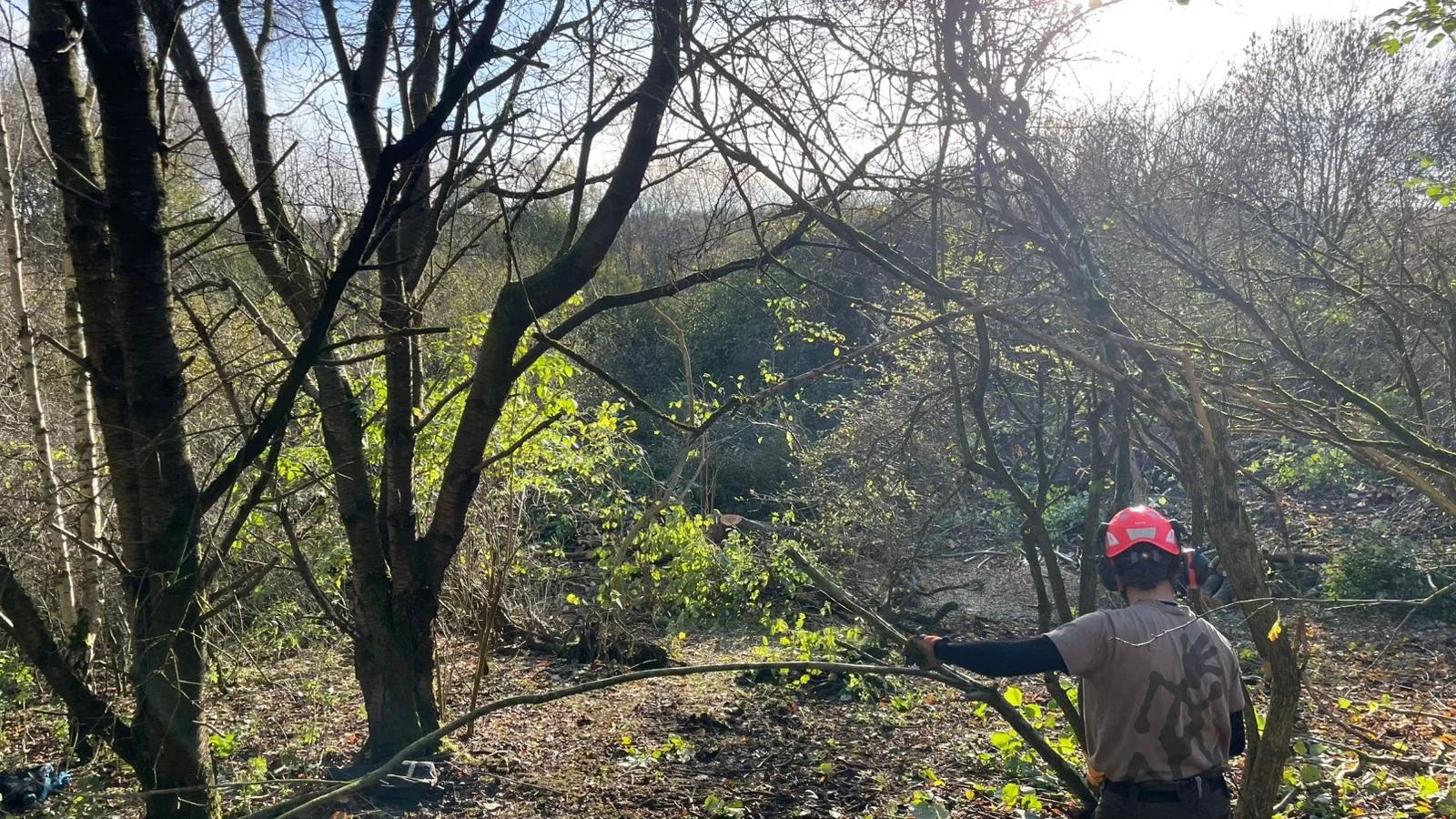 WhatsApp Image 2025-11-20 at 17.27.50 (1).jpeg