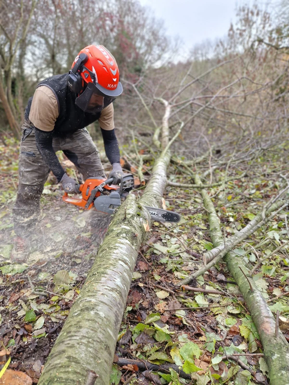 WhatsApp Image 2025-12-05 at 16.24.31 (1).jpeg