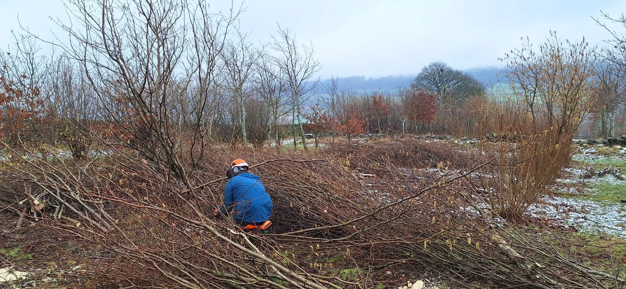 WhatsApp Image 2026-02-19 at 12.09.53.jpeg