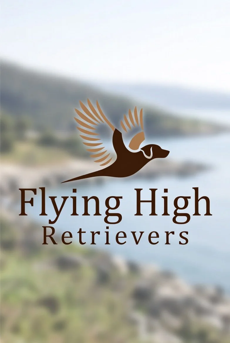 Logo featuring a flying dog with bird wings and the text 'Flying High Retrievers' over a blurred outdoor background.