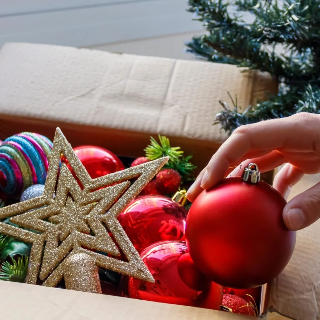 Post Christmas Clean Up