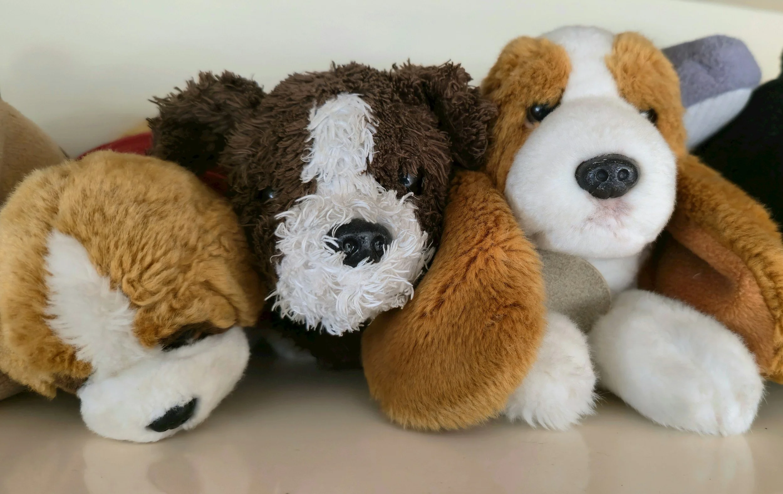 How to get rid of dust mites on soft toys