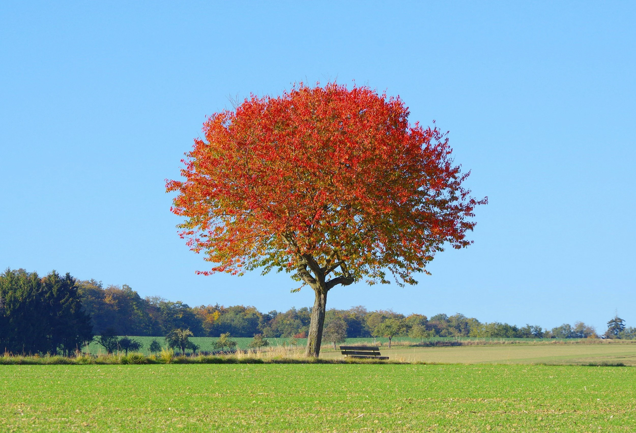 Get Autumn ready with my 5 simple tips