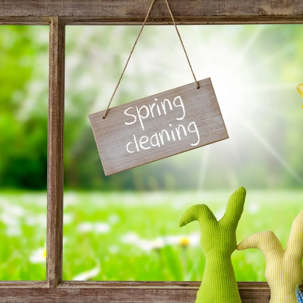 Queen of clean step by step spring clean