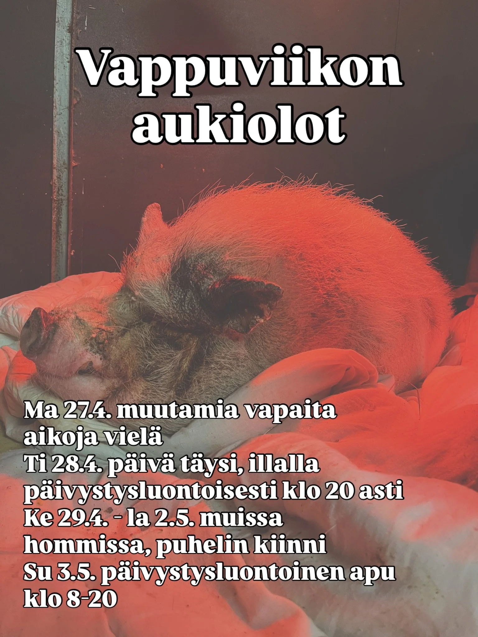 Vappuviikolla olen normaalia rajoitetummin tavoitettavissa, mutta sunnuntaina p&auml;ivystysluontoista apua tarjolla katkaisemaan pitk&auml;&auml; viikonloppua 🎈