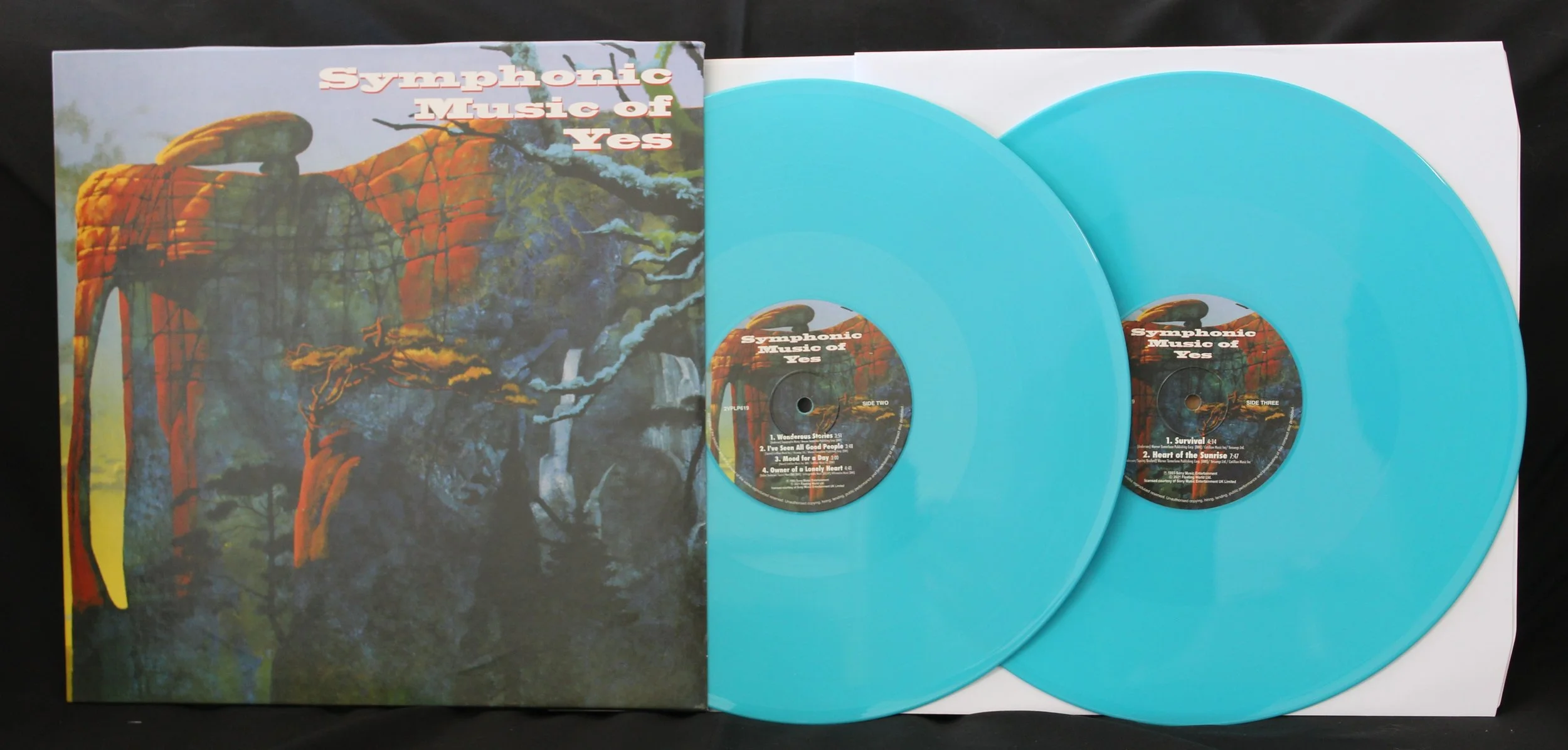 Double blue vinyl with sleeve.jpg