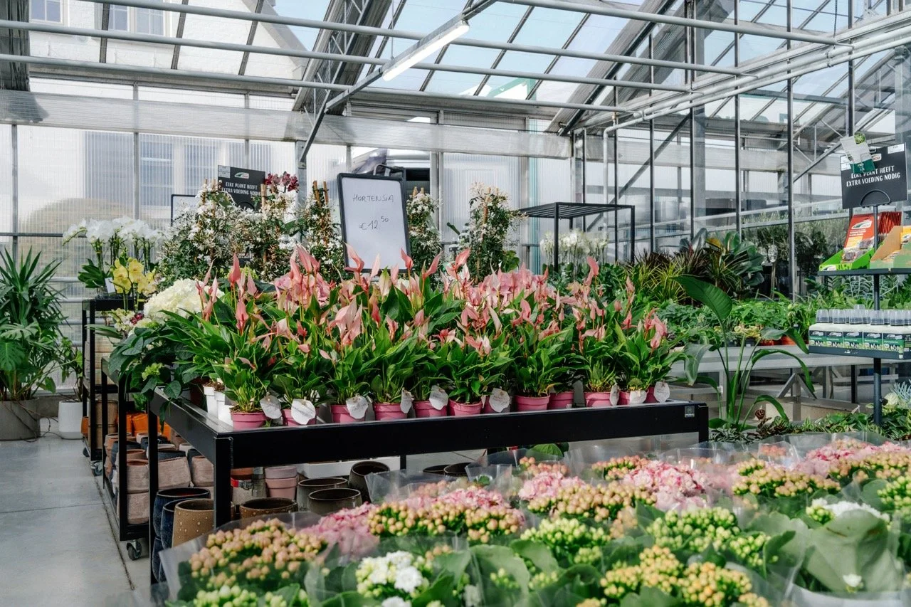 Dellflora_117 groot.jpeg