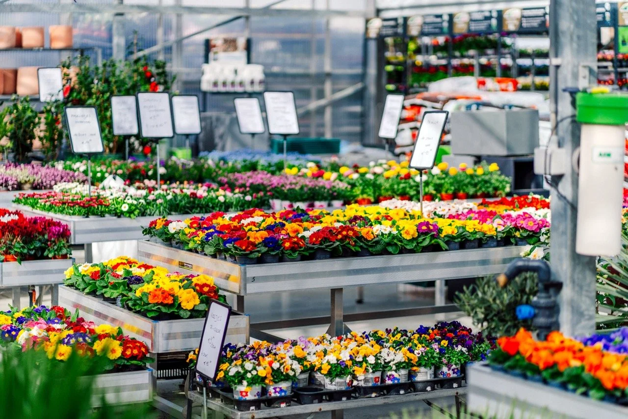 Dellflora_59 groot.jpeg