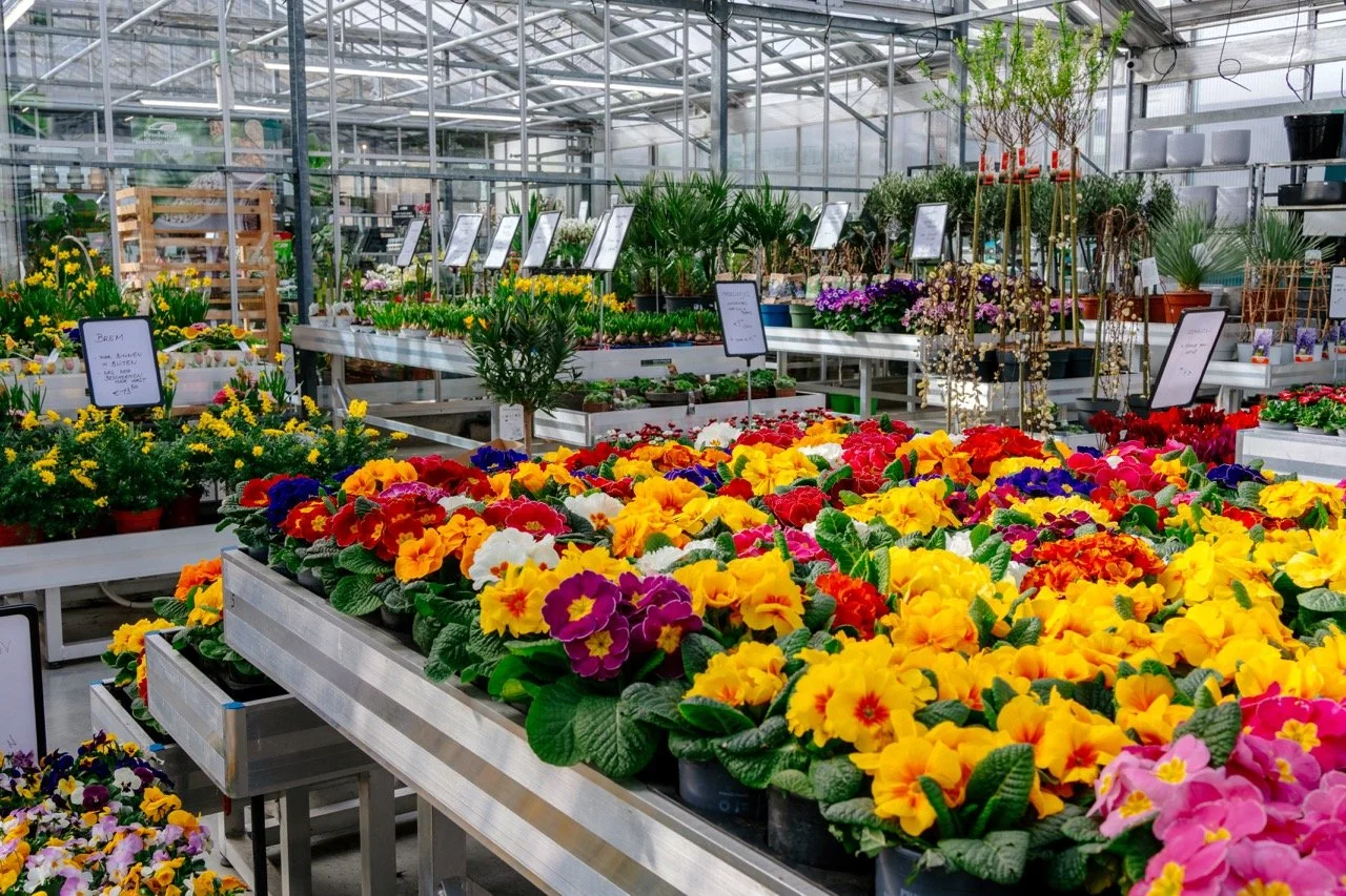 Dellflora_8 groot.jpeg