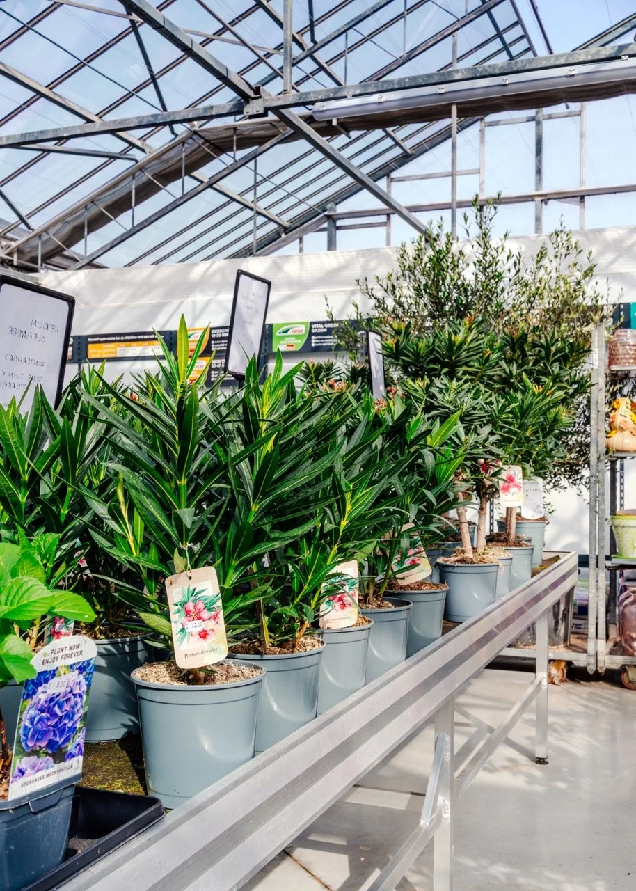 Dellflora_24 groot.jpeg