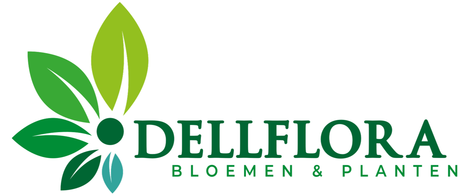 Dellflora