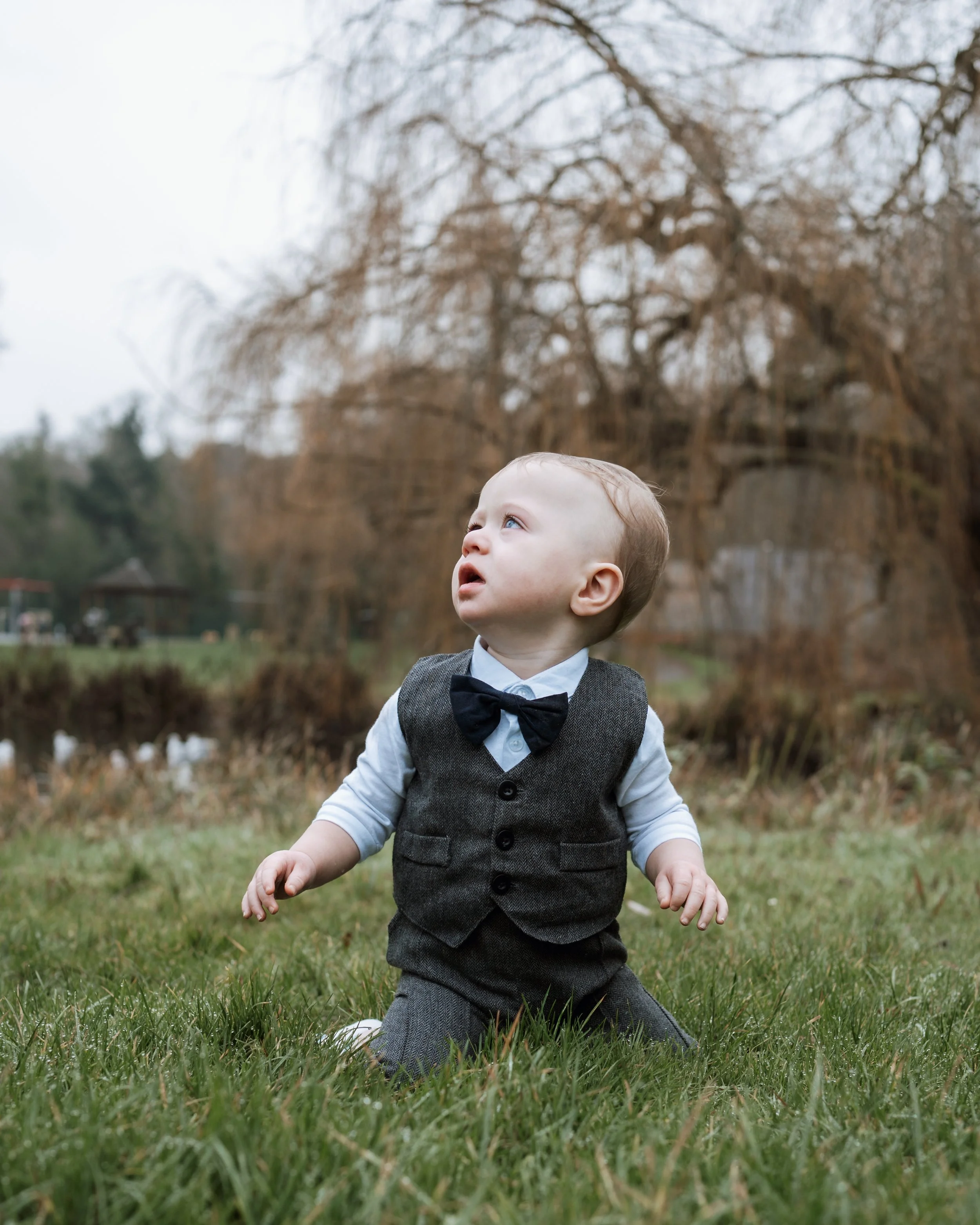 A young child with light brown hair, dressed in a gray vest, white shirt, and black bow tie, kneeling on grass outdoors, looking upward with a curious expression, with leafless trees and a pond in the background.