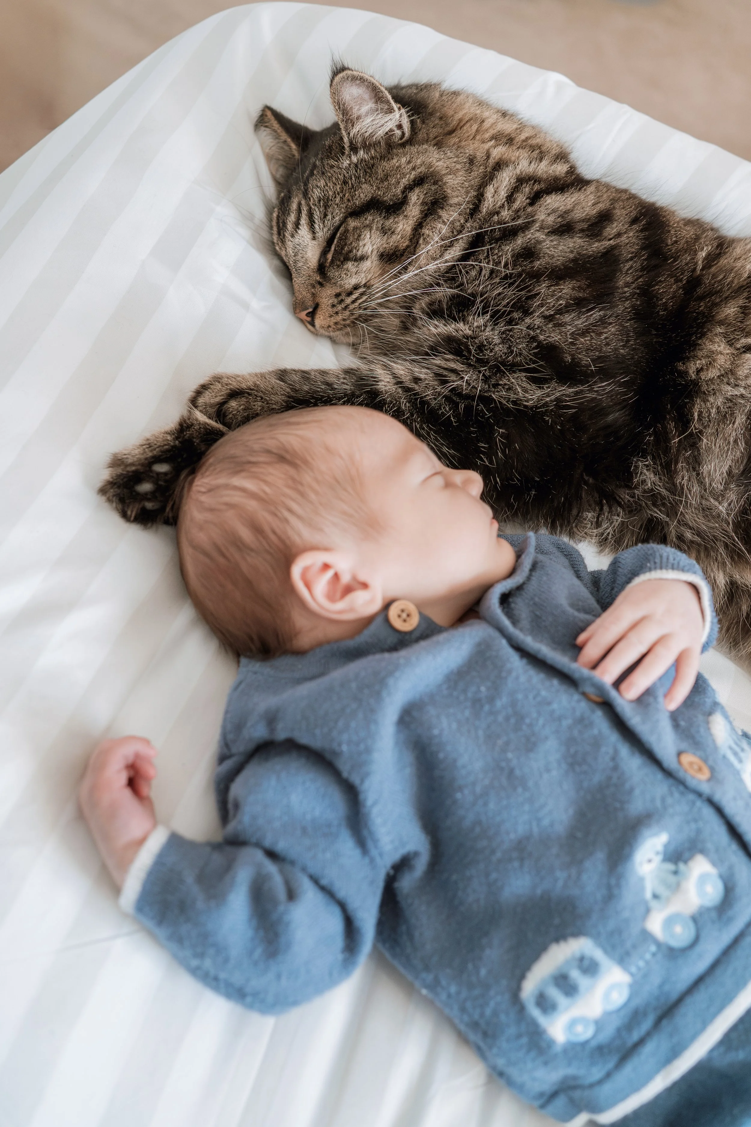 Gemma Wythe Photography-06424.jpg