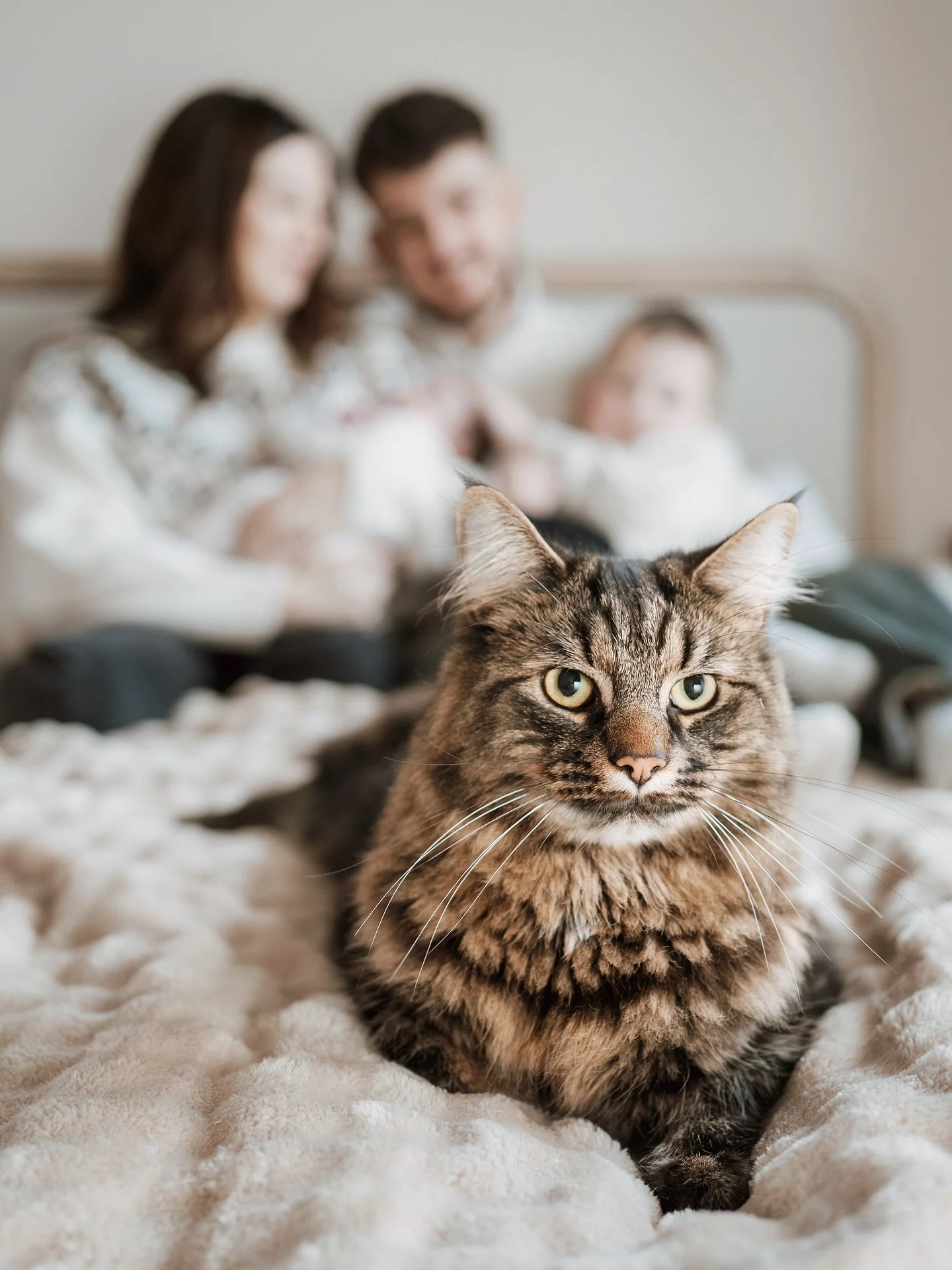 Because your fur babies need to be in your photos too 🥺🫶🏻

#newbornphotography #petphotography #inhomenewbornsession #suffolkfamilyphotographer