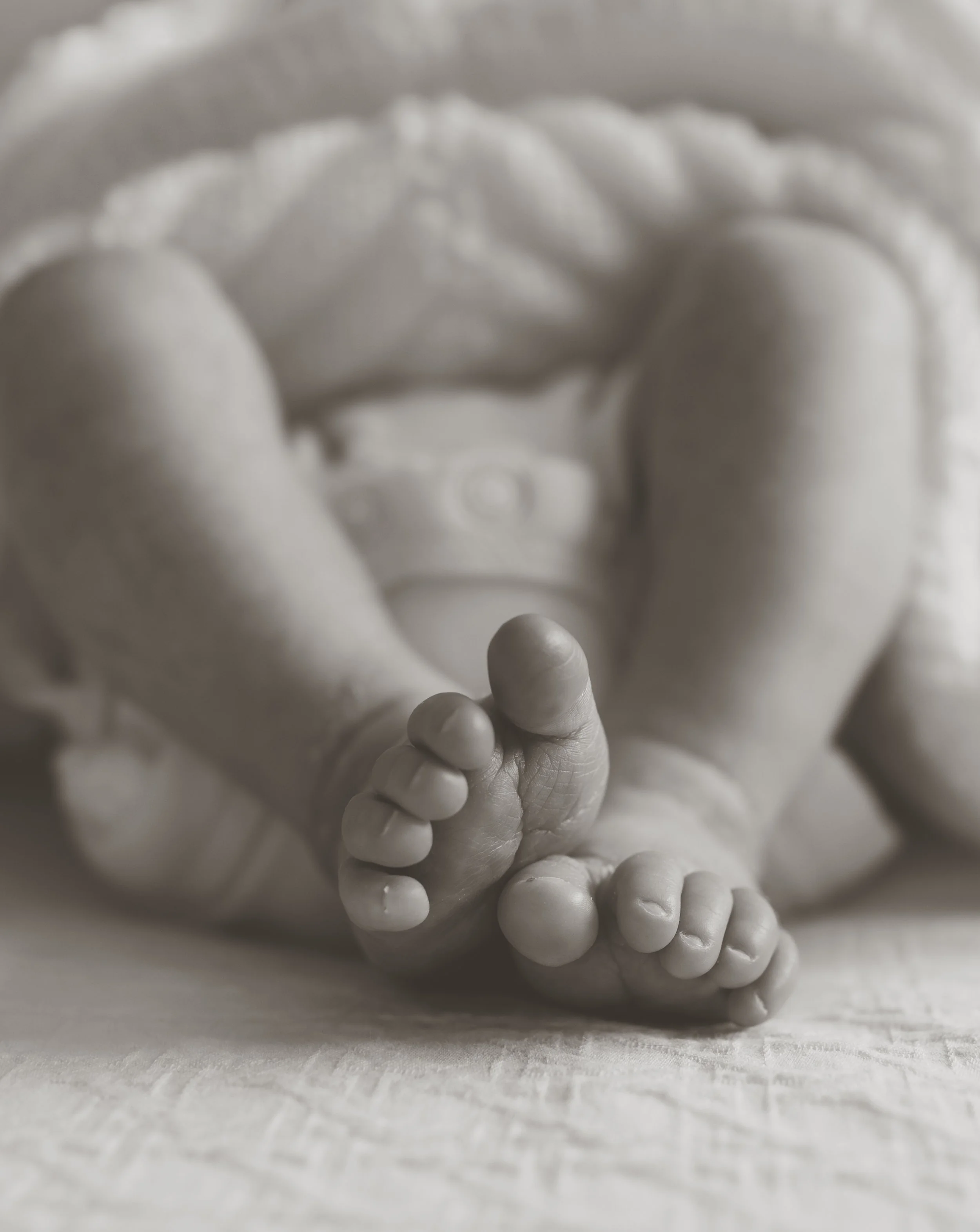 Gemma Wythe Photography - Colchester Newborn Photography.jpg
