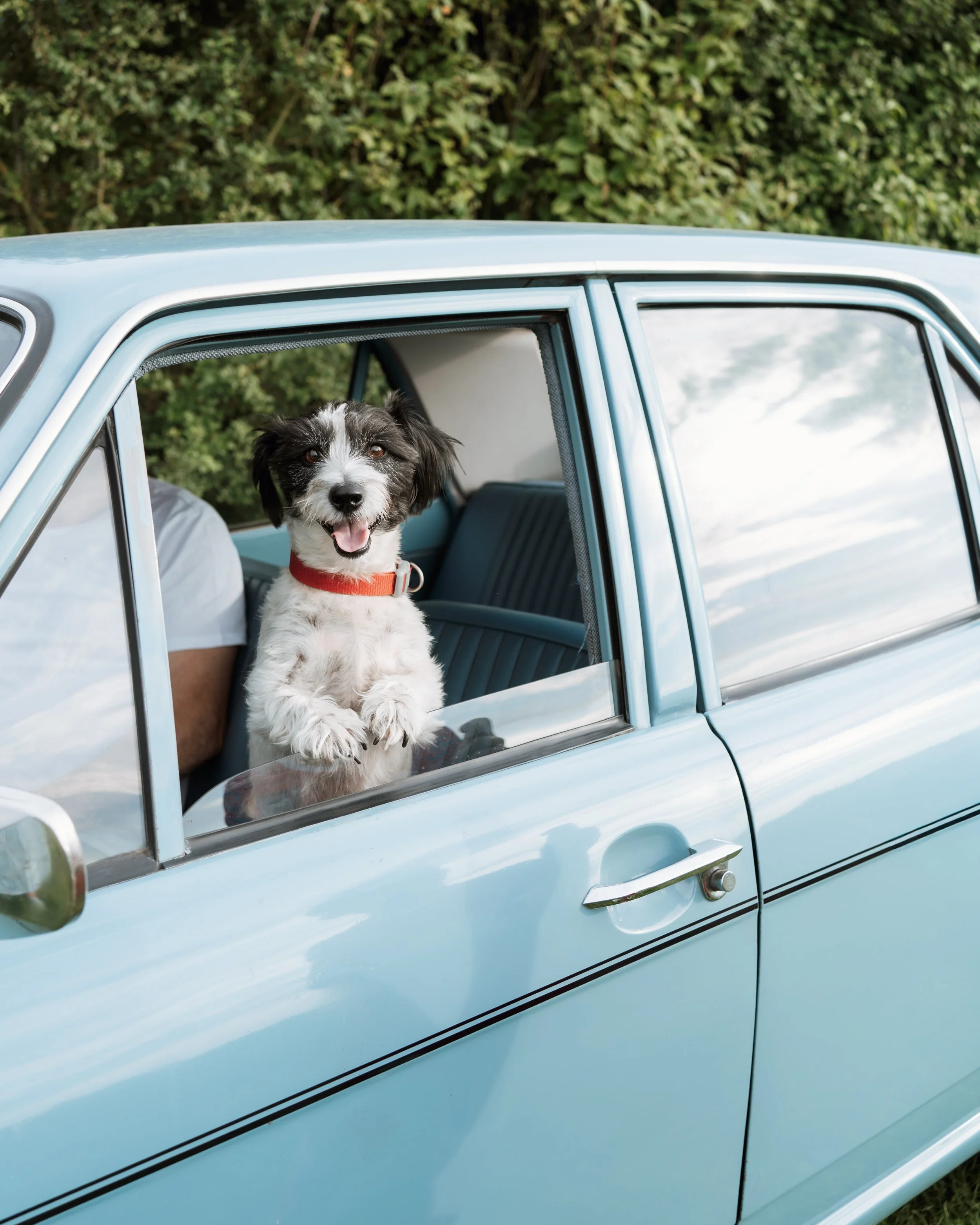 gemma-wythe-photography-suffolk-family-photographer.jpg