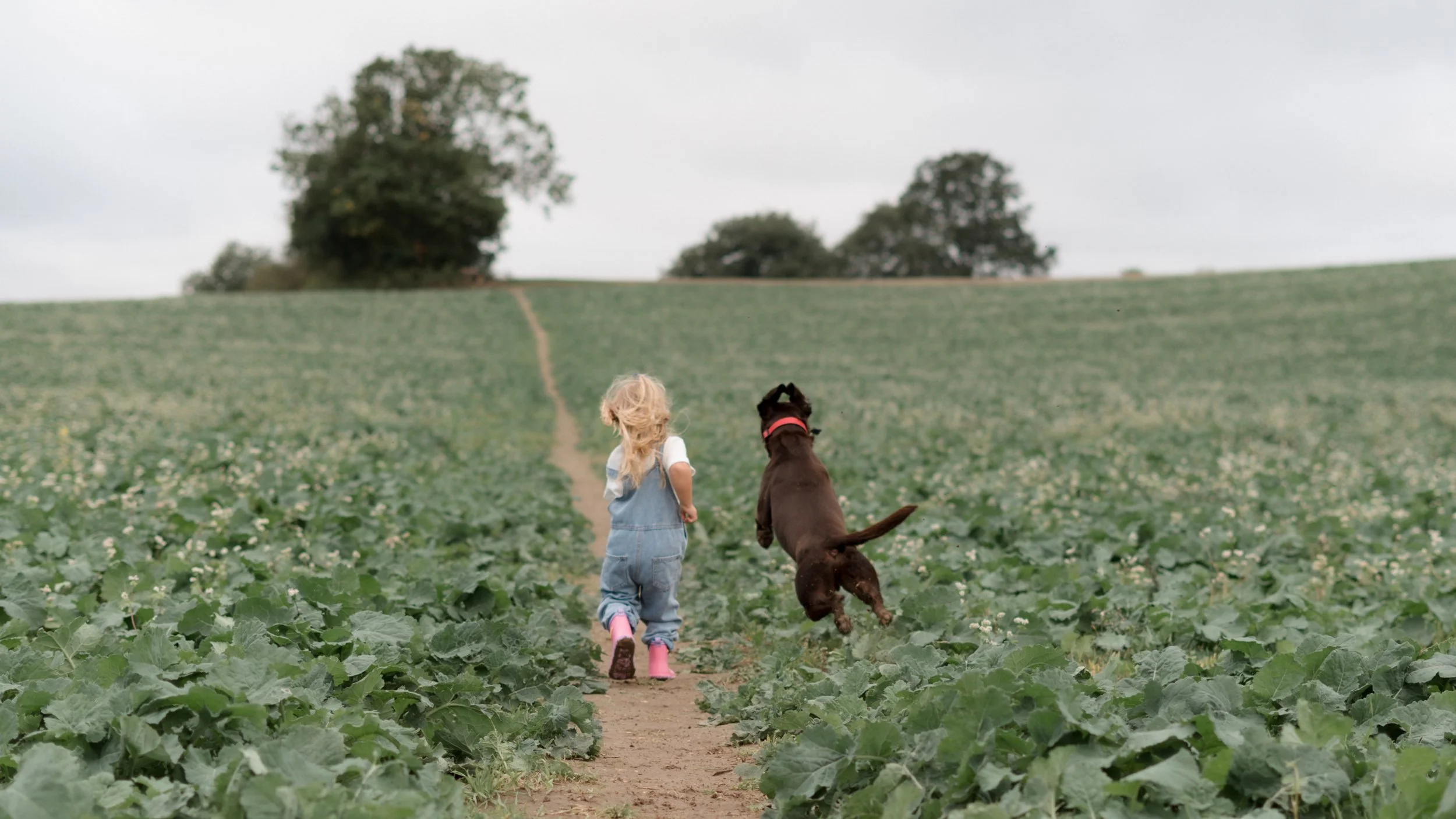 A young girl with curly blonde hair wearing pink rain boots and overalls, walking with a black dog on a dirt path through a green field, with trees in the background.