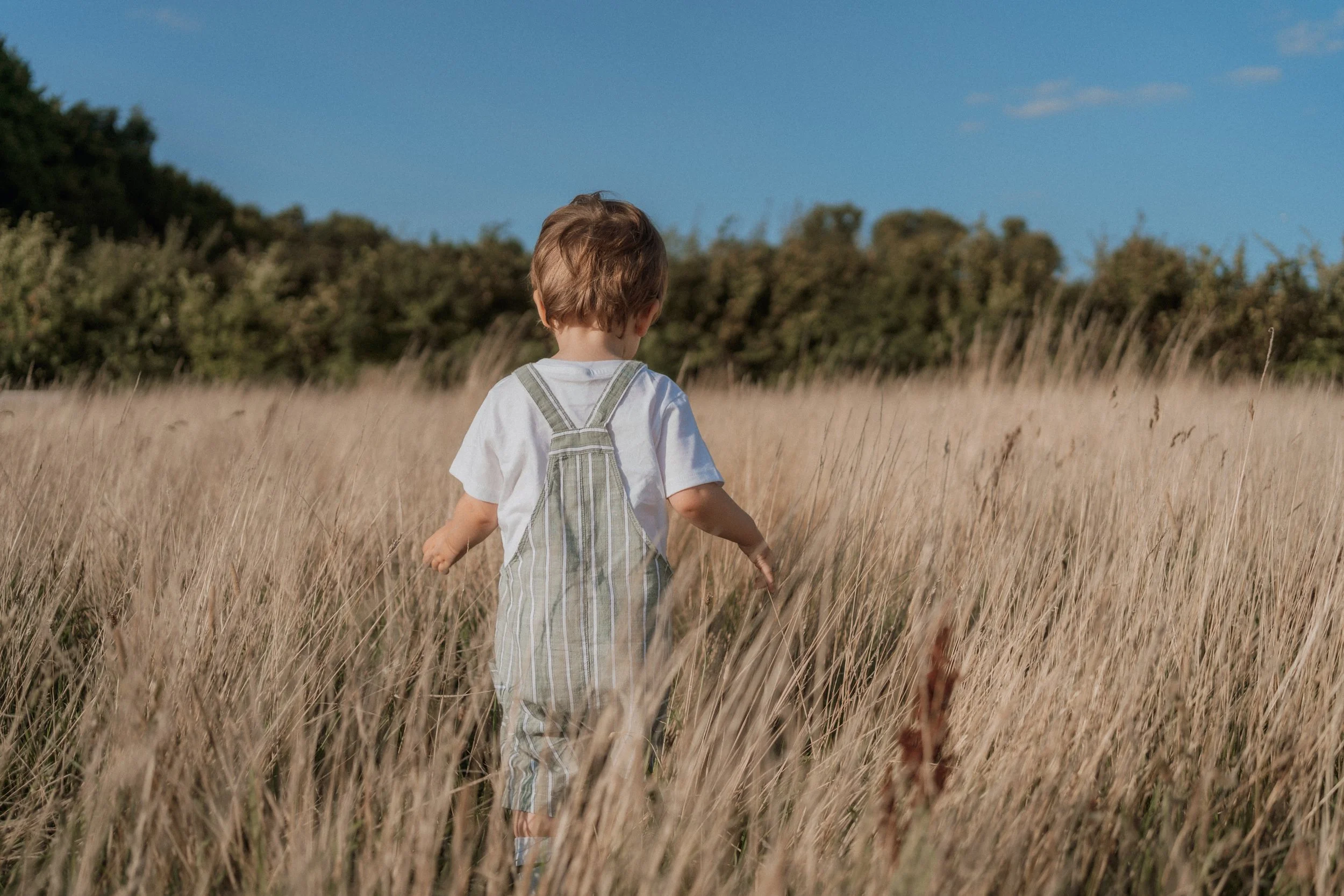 A young boy walking through a field of tall, dry grass on a sunny day with a blue sky and trees in the background.