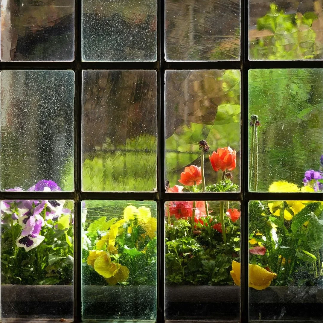 Experiencing the Garden From Inside the Home
