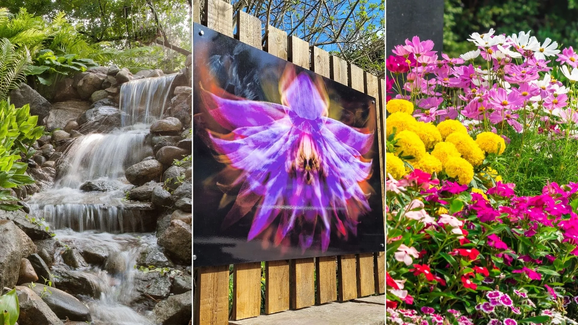 Why Outdoor Spaces Can Feel So Emotional