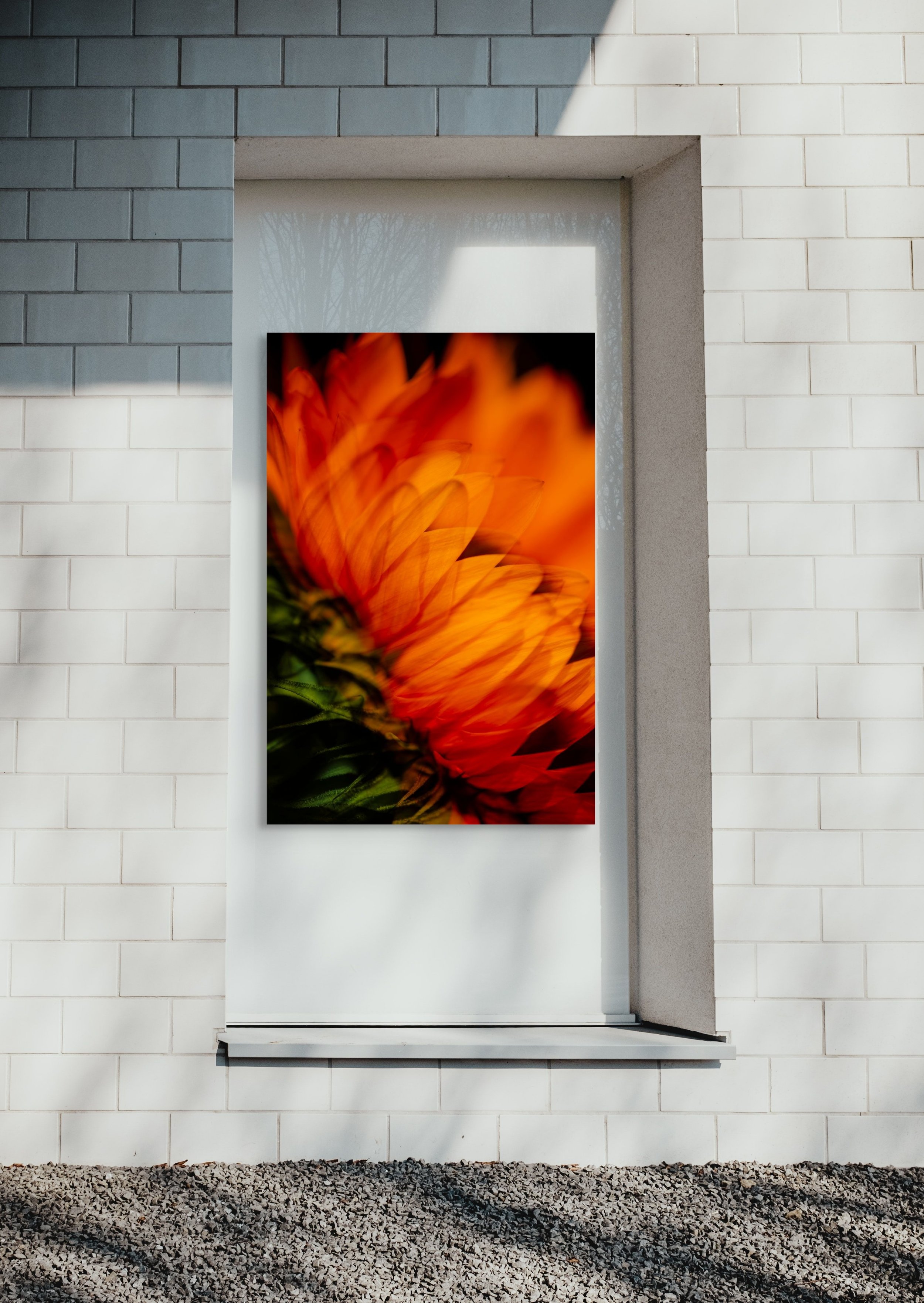 Floral contemporary photographic artwork