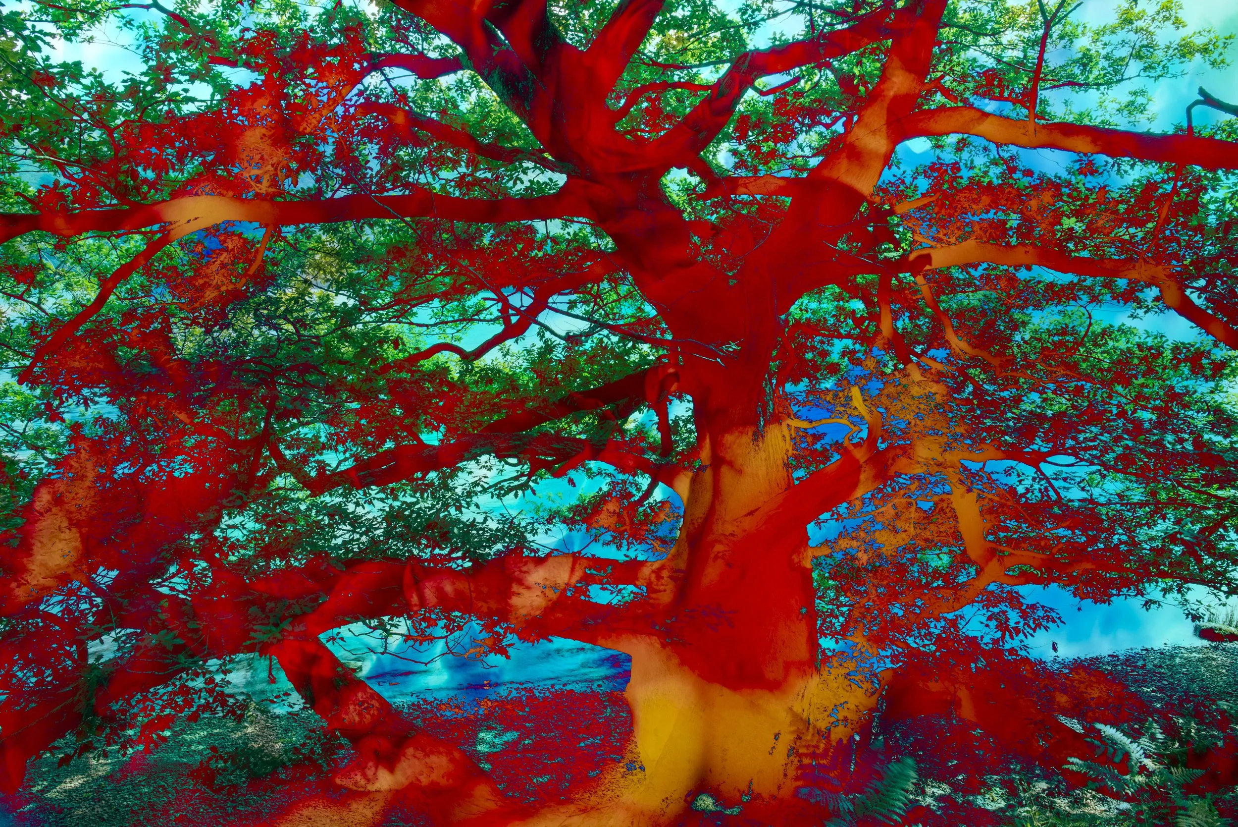 Blended photographic artworks