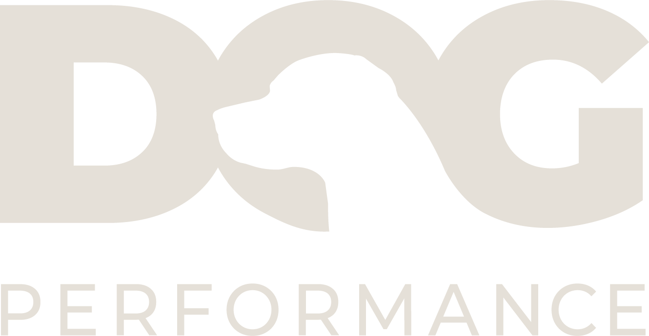 dog performance
