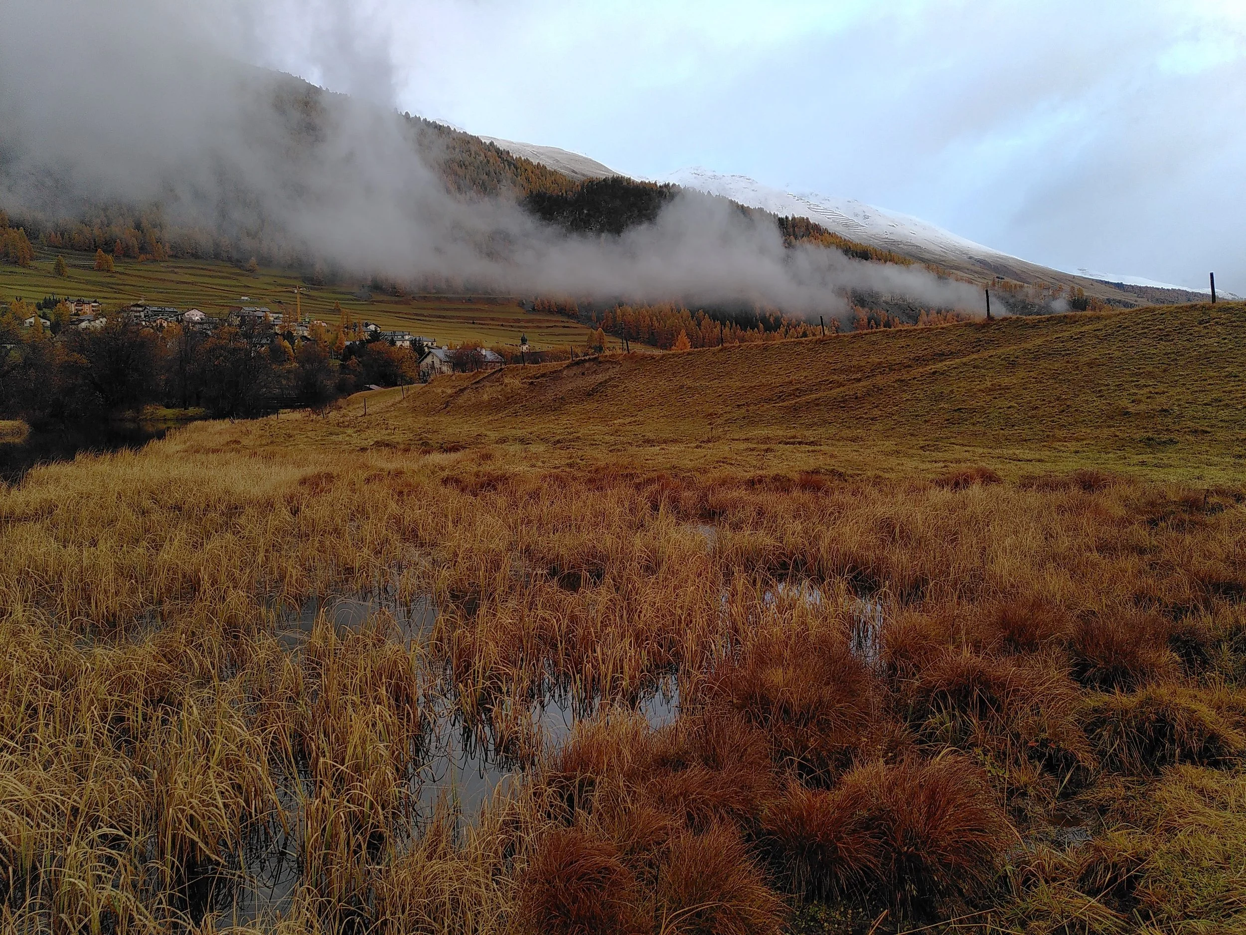 Vernetzungsprojekt für Biodiversitätsflächen