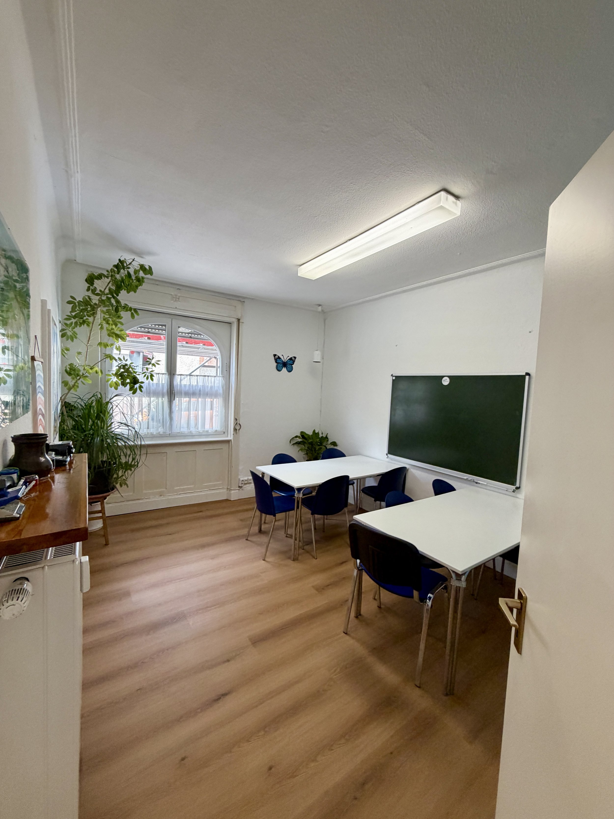 Ein Klassenraum mit Tischen, Stühlen, einer Tafel, Pflanzen und einer Tapete mit Schmetterling.
