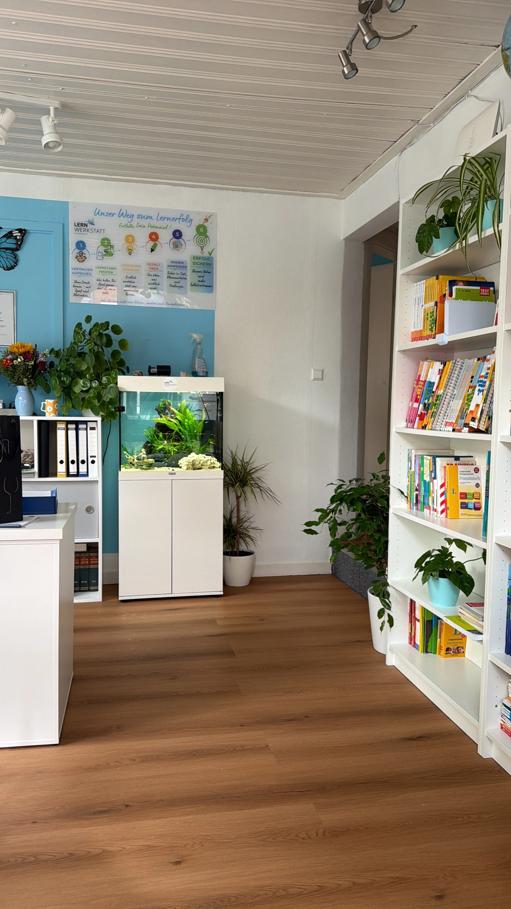 Ein Raum mit Holzfußboden, weißen Regalen, Pflanzen und einem Aquarium.