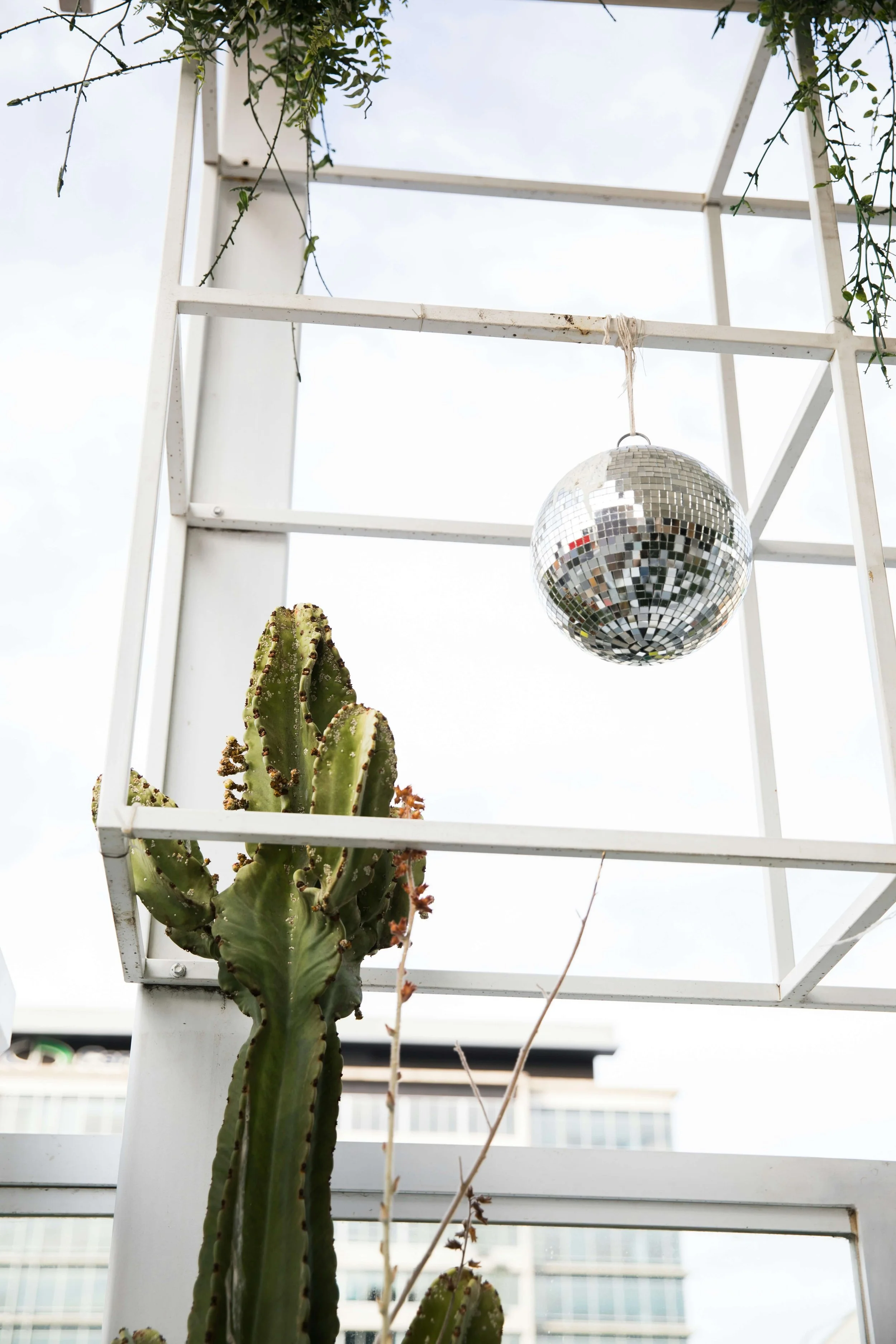 s-o-c-i-a-l-c-u-t-LS_18n-T90w-unsplash.jpeg