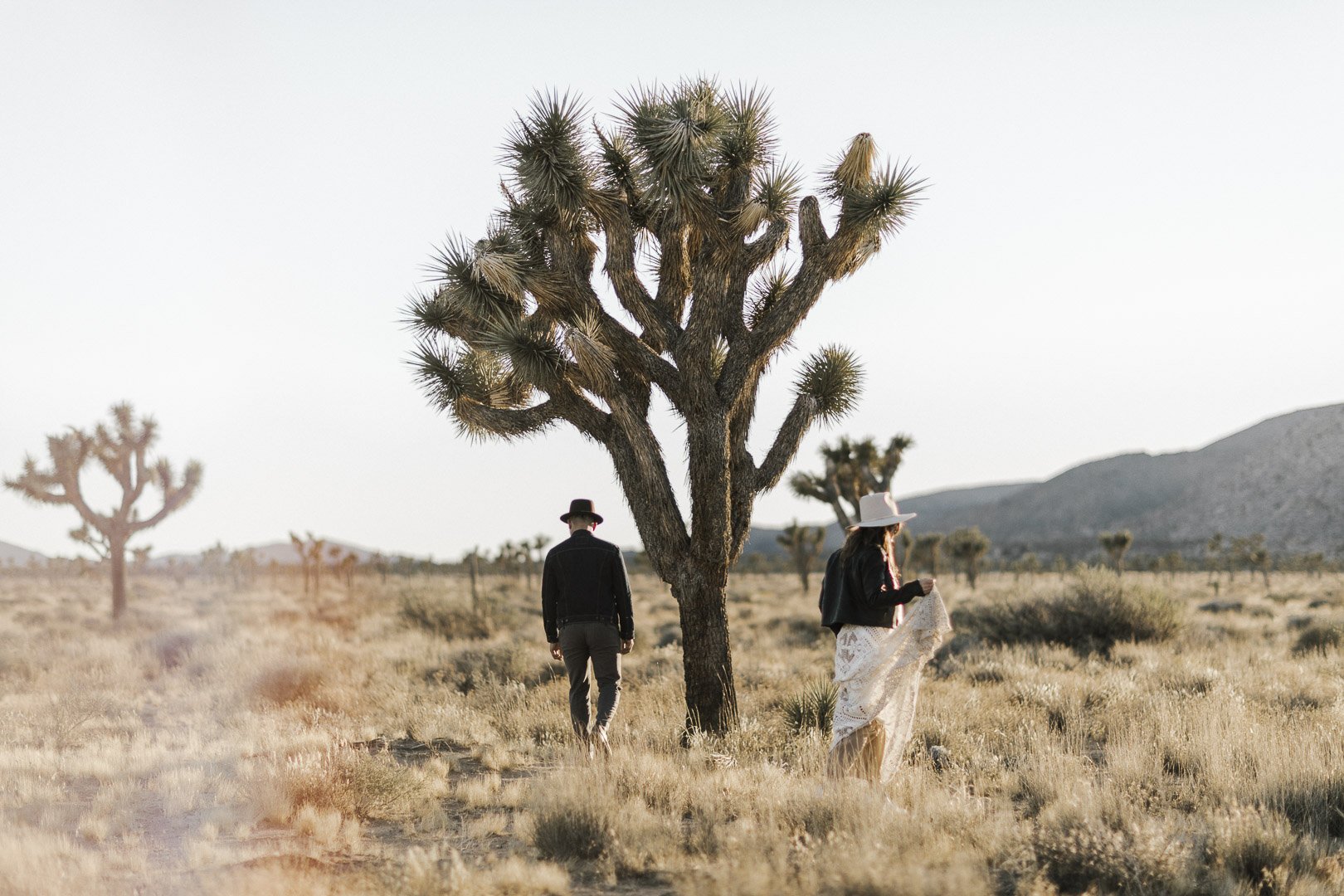 Wedding couple walking in Joshua Tree National Park with Joshua trees, one wearing a black jacket and hat, the other in a white hat, leather jacket and dress, near a large Joshua tree