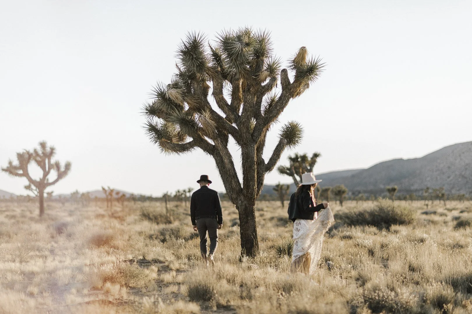 couple walks amongst the Joshua trees at Joshua Tree national park