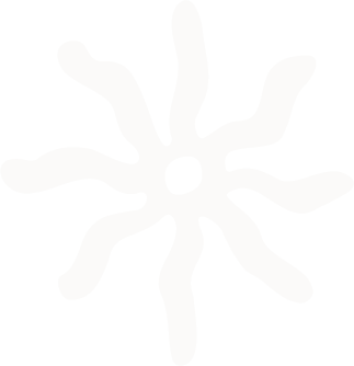 A white flower with elongated petals on a black background.