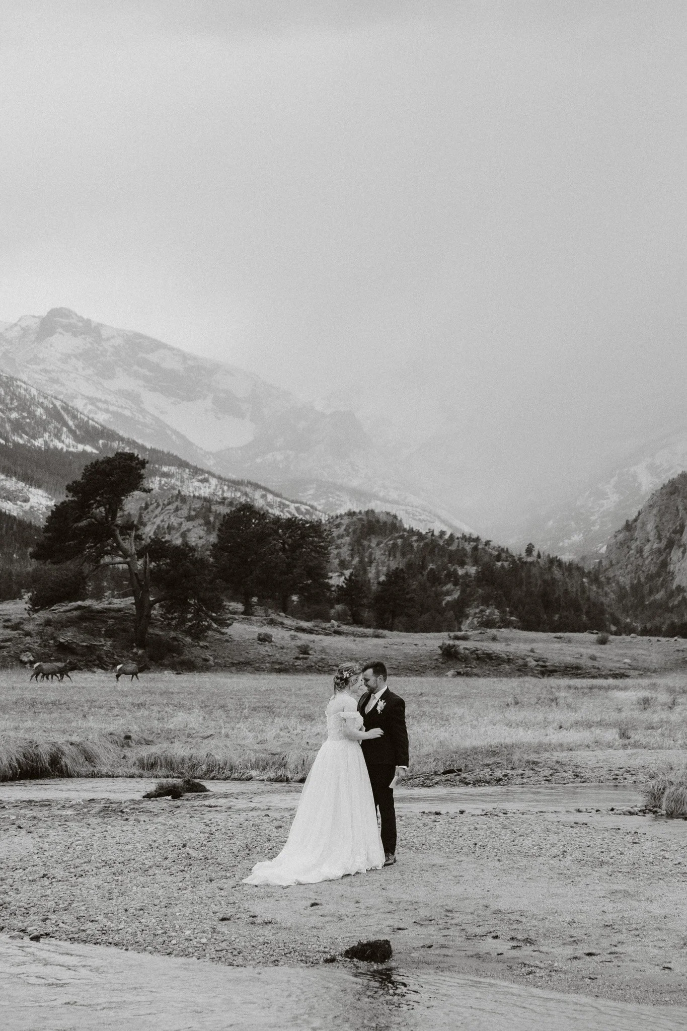 couple shares private vows in the valley at RMNP