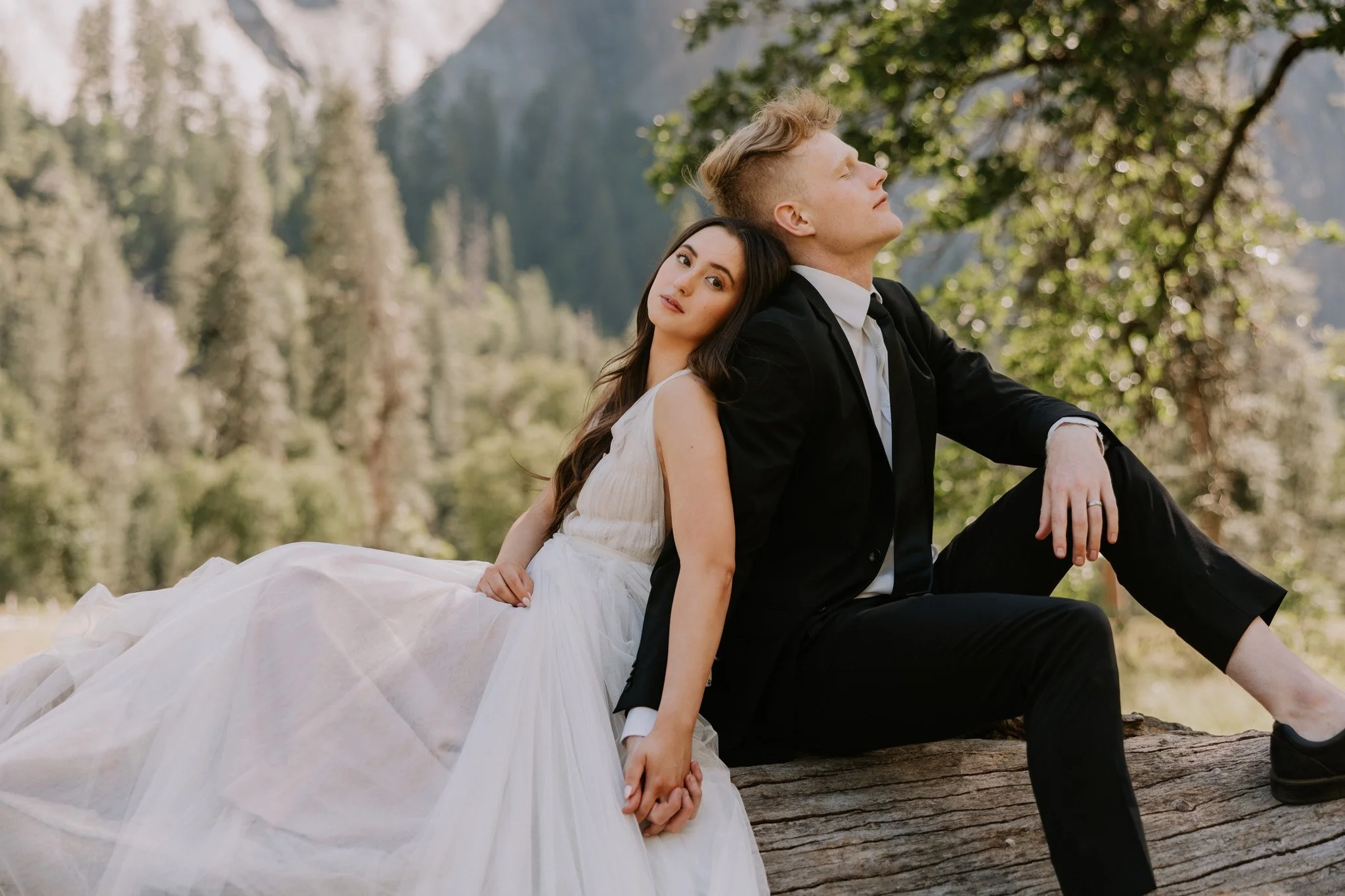 A couple sits back to back on a downed tree in the middle of Yosemite Valley on their elopement day
