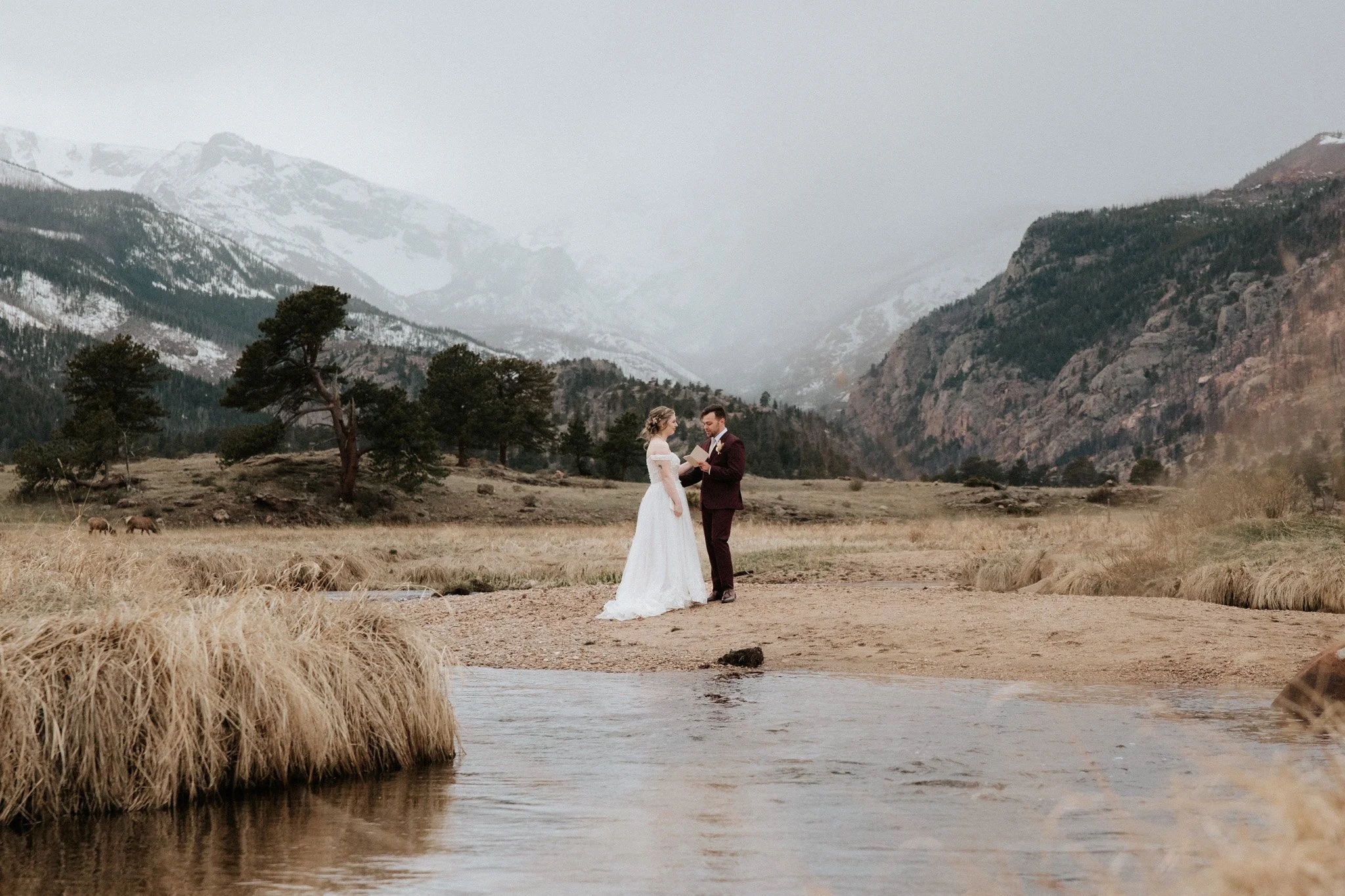 A bride and groom exchanging vows in Rocky Mountain National Park with a small stream in the foreground, tall trees, and snow-capped mountains in the background.