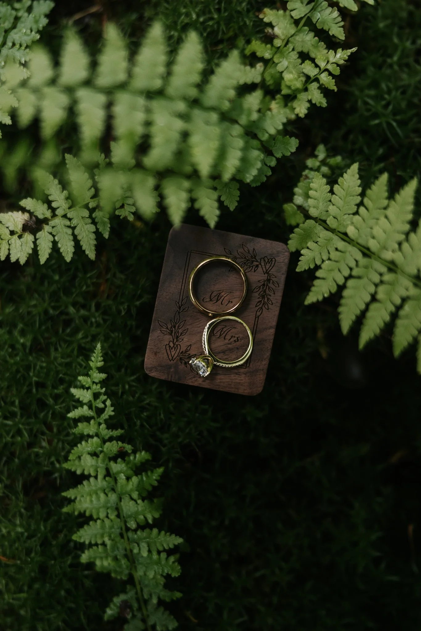 Wedding rings and their display box against moss