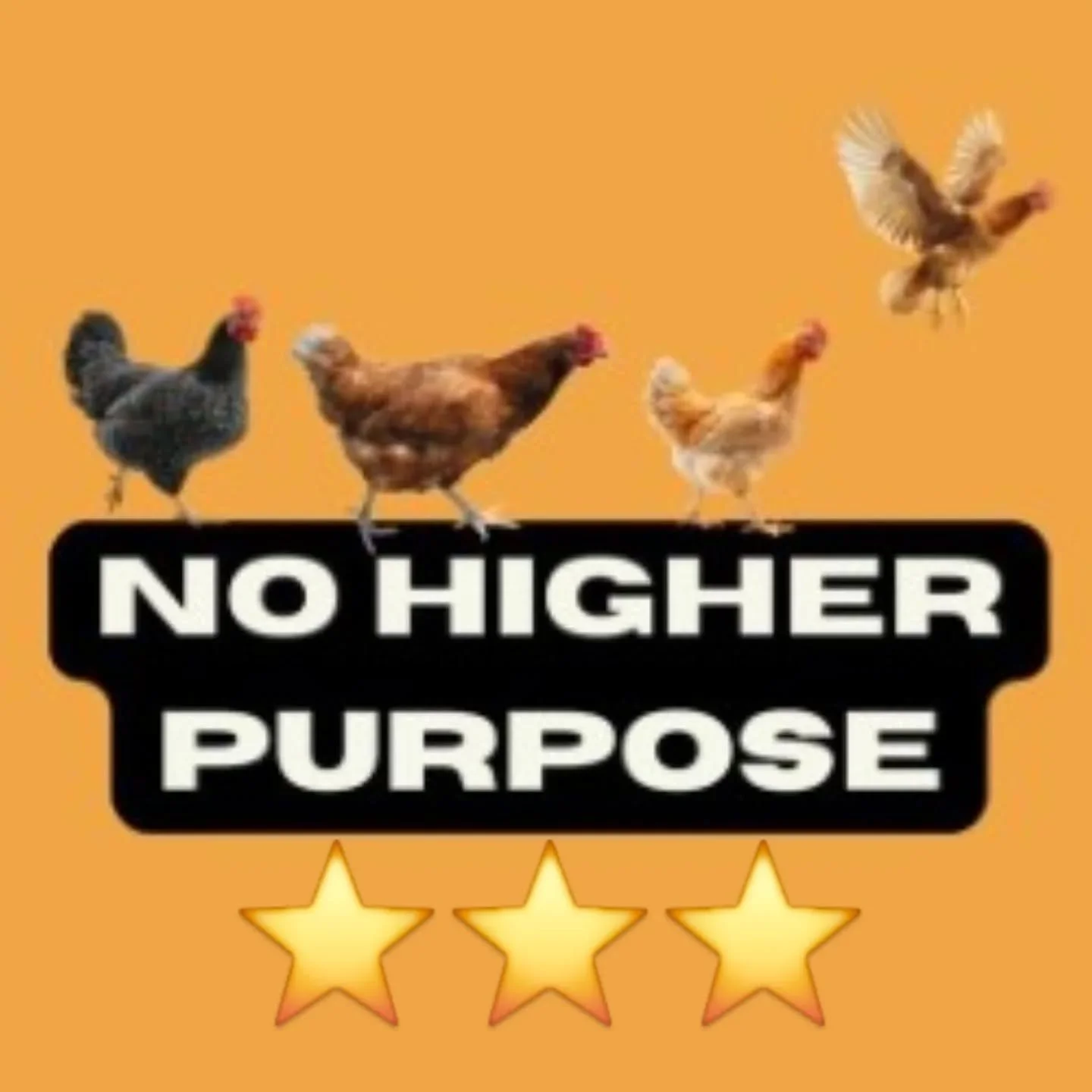 I found that the amount of original musicals was not as vast this year at the fringe as other years, so when I saw a musical called "No Higher Purpose" about a cult who worship chickens after an apocalypse, I knew I had to go see it.

When 