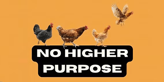 No Higher Purpose