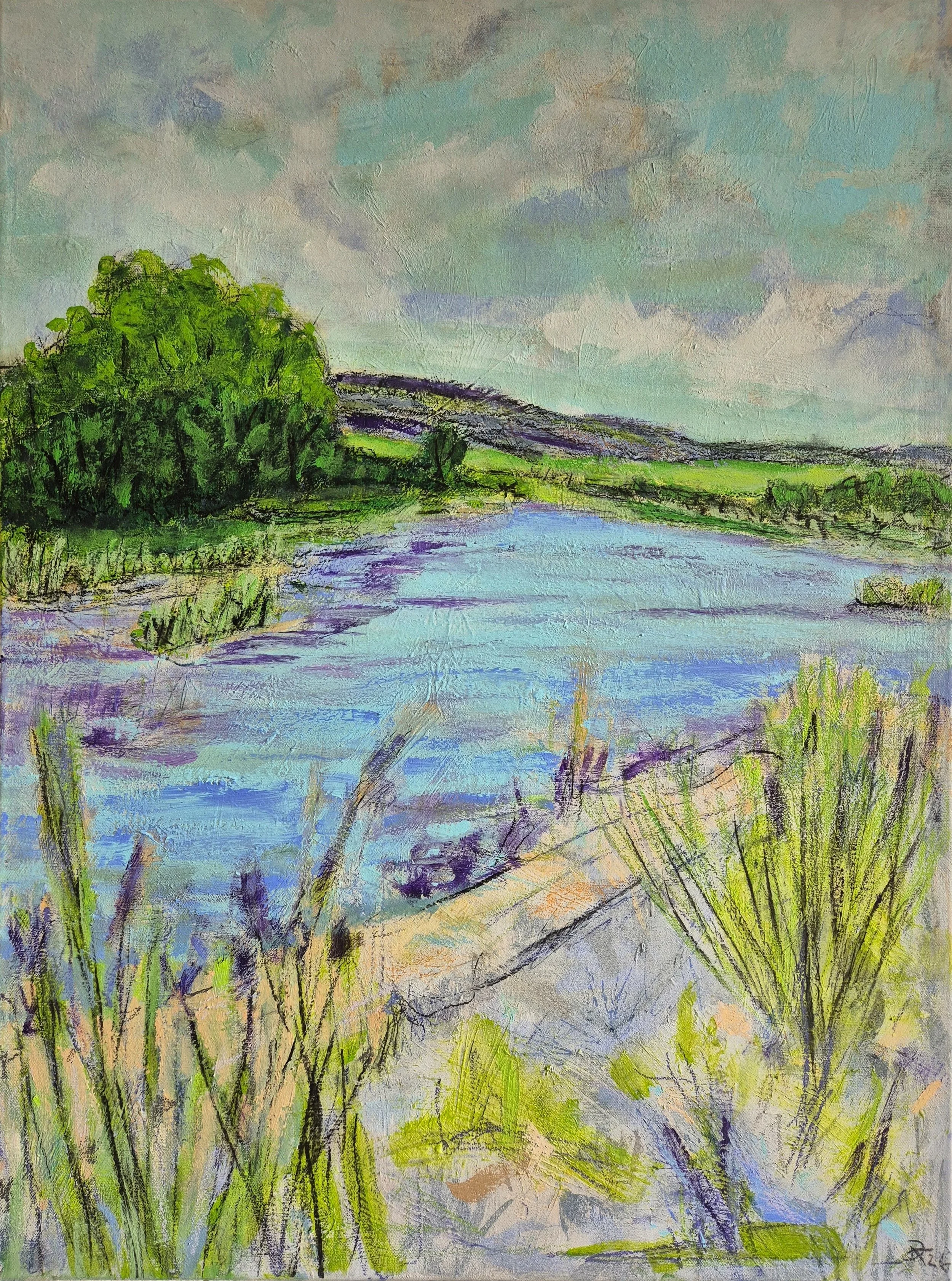 Water Meadow in Spring (2026)