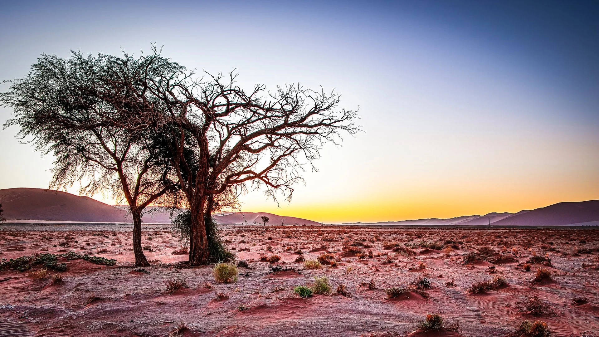 Heart of the desert
