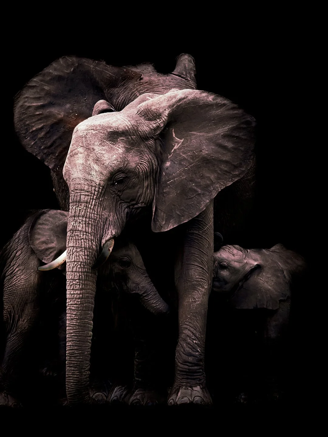 Mother's guard