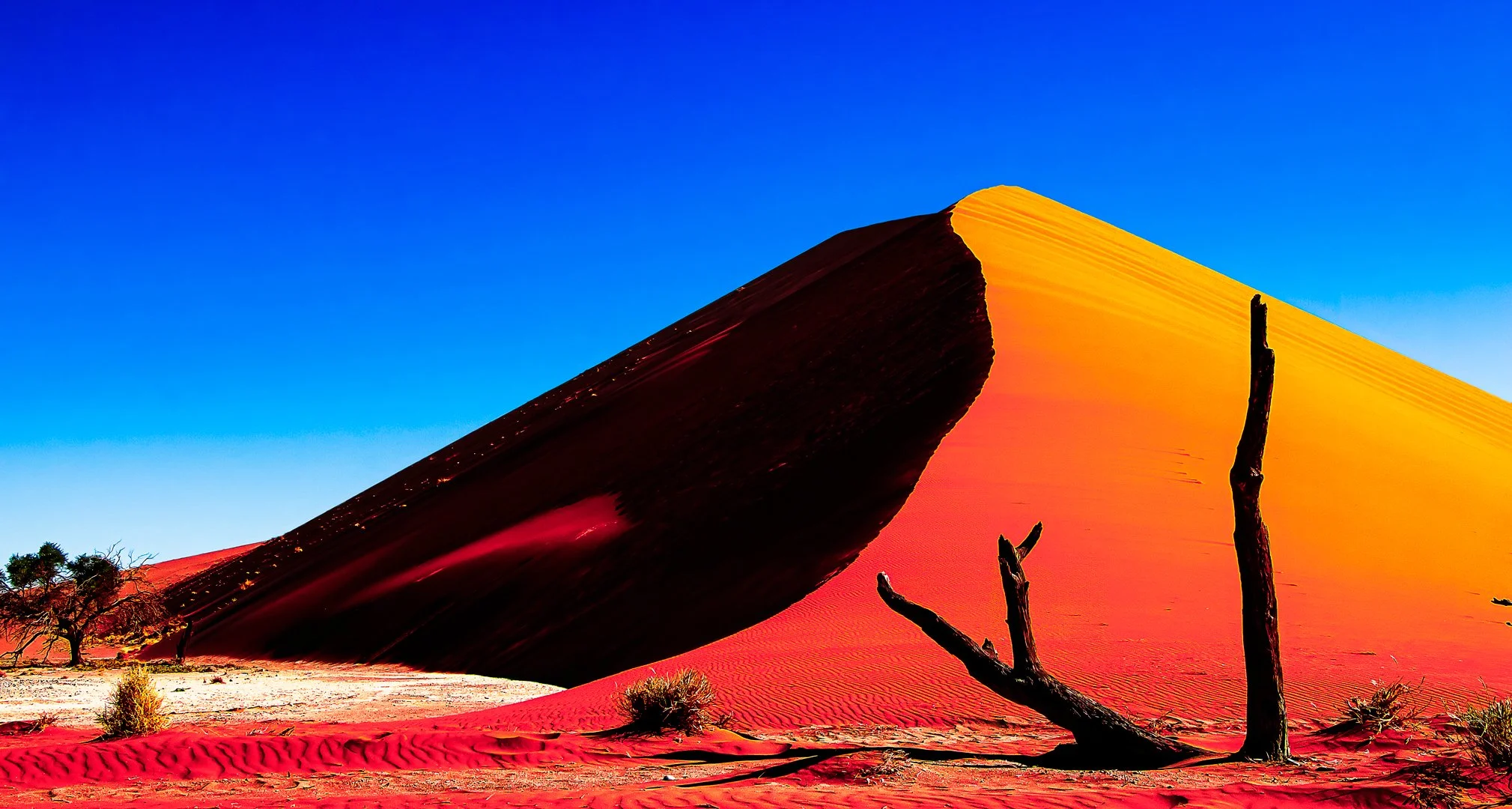 Namib magic